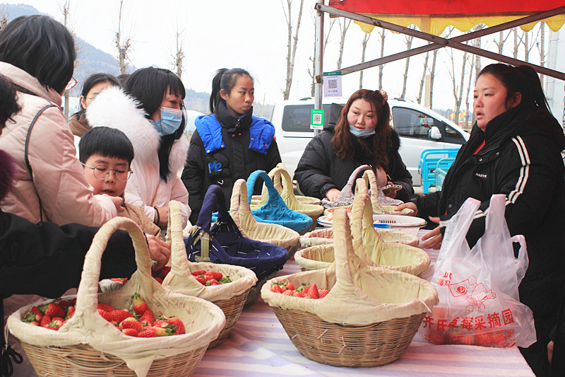 ��ݮ�h��c�´� | ���f�(zh��n)��ɽ�ڲ�ݮ��ժ��(l��)Ȥ���������w�(y��n)�e����ζ