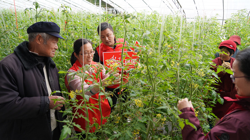 �����l(xi��ng)�����d | ���Ѕ^(q��)����·�ֵ���Ո�r(n��ng)�������_չ�Nֲ���gָ��