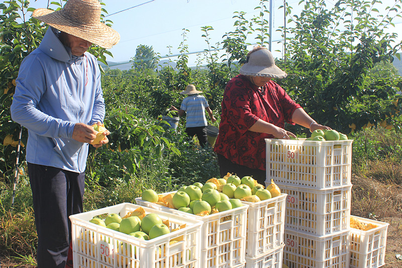 ��ó������Ѕ^(q��)ǰ�����@��(g��)���@���������ˣ�