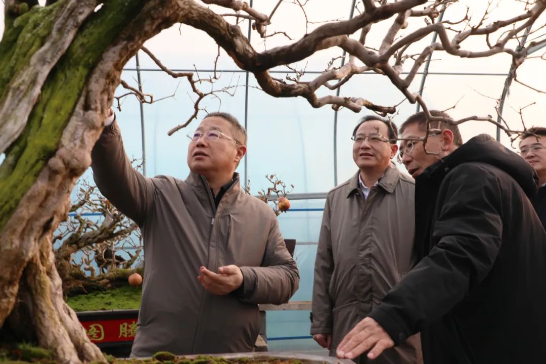 ���f��ί����(sh��)ӛ������ί��(sh��)ӛ����(gu��)�ށ�(l��i)�F�ǅ^(q��)�{(di��o)��ʯ��a(ch��n)�I(y��)�l(f��)չ����